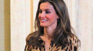 La Princesa Letizia sorprende con un estampado de leopardo en la audiencia con la Federación Española de Párkinson