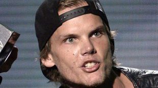 Avicii es hospitalizado y tiene que suspender un concierto en Miami