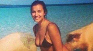 Irina Shayk se mete a remojo con unos cerdos durante sus vacaciones en las Bahamas