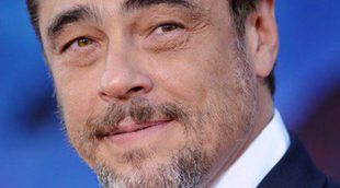 Benicio del Toro recibirá el Premio Donostia en el Festival de Cine de San Sebastián 2014