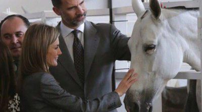 Los Reyes Felipe y Letizia se rodean de animales en la Feria Internacional Ganadera de Zafra