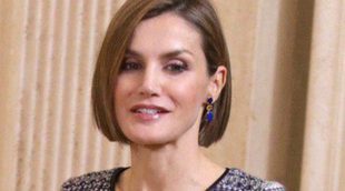 La Reina Letizia repite vestido en el almuerzo con el presidente de Egipto