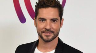 David Bisbal, "cabreado" e "indignado" por haber sido involucrado con una trama de prostitución de lujo argentina