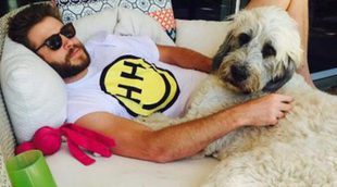 Feliz estampa familiar: La imagen de Liam Hemsworth que Miley Cyrus ha colgado en Instagram