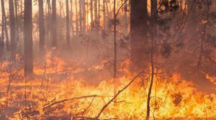 La dramática historia de la mujer que incendiaba los montes gallegos con velas aromáticas: "Era conflictiva"