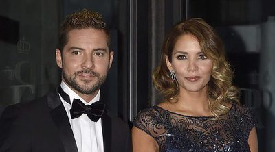 David Bisbal y Rosanna Zanetti derrochan amor sobre la alfombra roja del Teatro Real