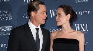 13 famosos y famosas con los que Angelina Jolie y Brad Pitt podrían superar su divorcio