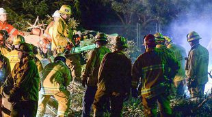 Una boda termina en tragedia tras caer un árbol sobre los invitados