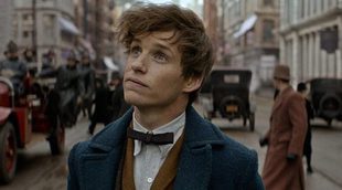 Eddie Redmayne, Leonardo DiCaprio o Belén Cuesta: 12 estrellas de cine que han brillado en 2016