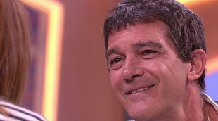 Antonio Banderas en 'El árbol de tu vida': "Mi amor es Nicole, estoy enamorado de ella hasta las trancas"