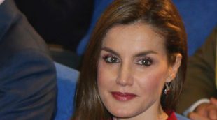 Letizia, una reina con moratones en la rodilla durante su visita oficial a Navarra