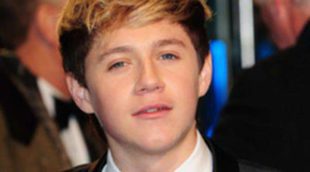 Niall Horan, de One Direction, se apunta a la moda de desnudarse en Twitter