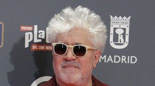 Pedro Almodóvar y su novio Fernando Iglesias posan juntos por primera vez