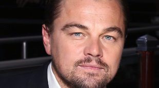 La otra modelo que podría haberle robado el corazón a Leonardo DiCaprio