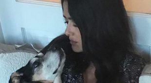 Salma Hayek despide llena de tristeza a su gran compañera de vida, su perrita Lupe