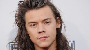 Harry Styles podría haber declarado su bisexualidad con una canción