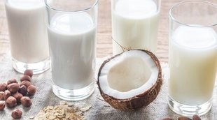 Leche vegetal versus leche animal