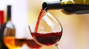 ¿Cuál es el mejor vino para acompañar tus comidas?