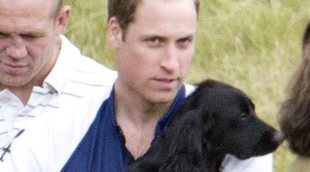 El perro, el mejor amigo de los royals: conoce a las mascotas de la Reina Isabel, Máxima de Holanda o la Reina Sofía