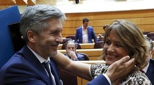 Marlaska y Dolores Delgado se ven y se saludan en el Senado tras los audios filtrados