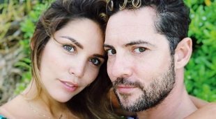 David Bisbal y Rosanna Zanetti se construyen una impresionante mansión en Almería en primera línea de playa