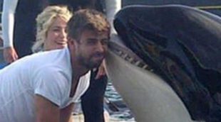 Gerard Piqué cambia el beso de Shakira por el de una orca bajo la atenta mirada de la cantante