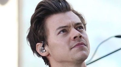 Harry Styles parece haber encontrado de nuevo el amor con otra modelo