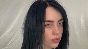 Billie Eilish tiene que interrumpir un concierto por una emergencia médica de un fan