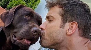 David Bisbal, Pablo Alborán... Así son los perros más entrañables de las celebrities