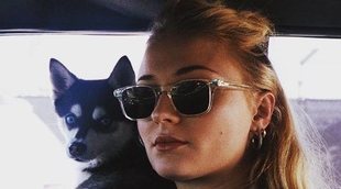 Joe Jonas y Sophie Turner, muy afectados tras la muerte de Waldo, su pequeño cachorro