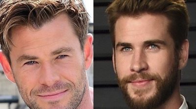 Liam y Chris Hemsworth presumen de abdominales durante uno de sus entrenamientos