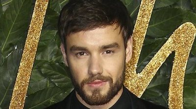 Liam Payne publica por error una foto semidesnudo