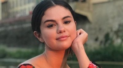 Selena Gomez podría tener un romance con Niall Horan