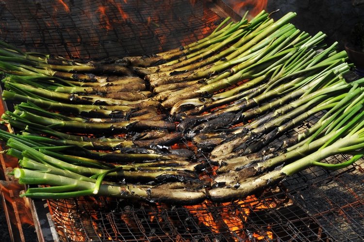 Los calçots se cocinan a llama viva sobre la parrilla