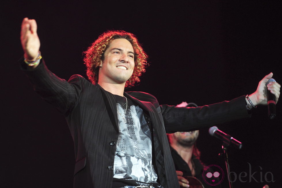 David Bisbal en el concierto 'Lorca somos todos'