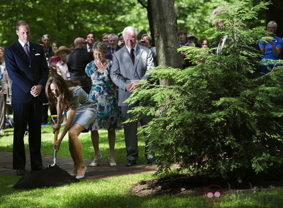 Catalina de Cambridge planta un árbol en Canadá