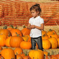 Honor, hija de Jessica Alba, con las calabazas en el Pumpkins Patch de Los Angeles