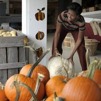 Michelle Obama comprando calabazas de Halloween