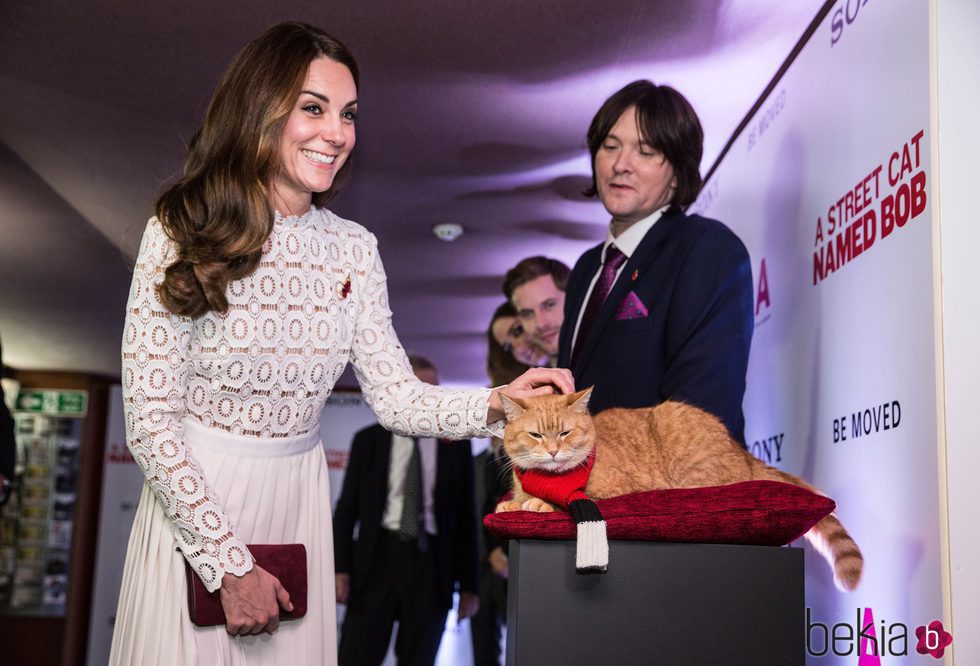 Kate Middleton acaricia al gato bob en el estreno de 'A street cat named Bob'