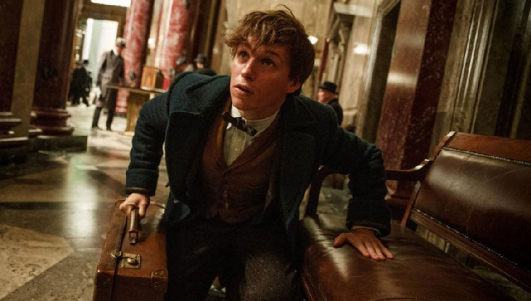 Eddie Redmayne en 'Animales fantásticos y dónde encontralos'