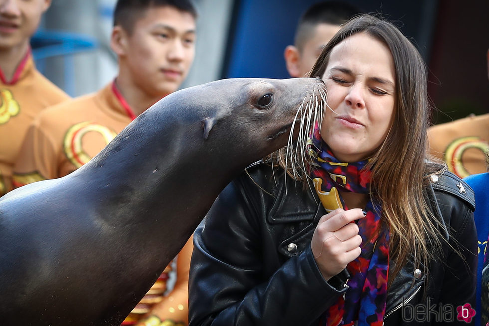 Pauline Ducruet con una foca en la inauguración del Festival de Circo de Monte-Carlo 2017