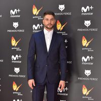 Luis Fernández en la alfombra roja de los Premios Feroz 2017