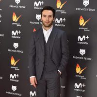 Ricardo Gómez en la alfombra roja de los Premios Feroz 2017