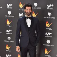 Miguel Ángel Muñoz en la alfombra roja de los Premios Feroz 2017