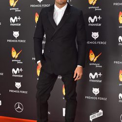 Álex García en la alfombra roja de los Premios Feroz 2017