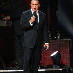 El cantante Luis Miguel en concierto