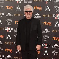 Pedro Almodóvar en la alfombra roja de los Premios Goya 2017