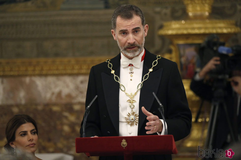 El Rey Felipe dando un discurso en la cena de gala en honor al presidente de Argentina Mauricio Macri