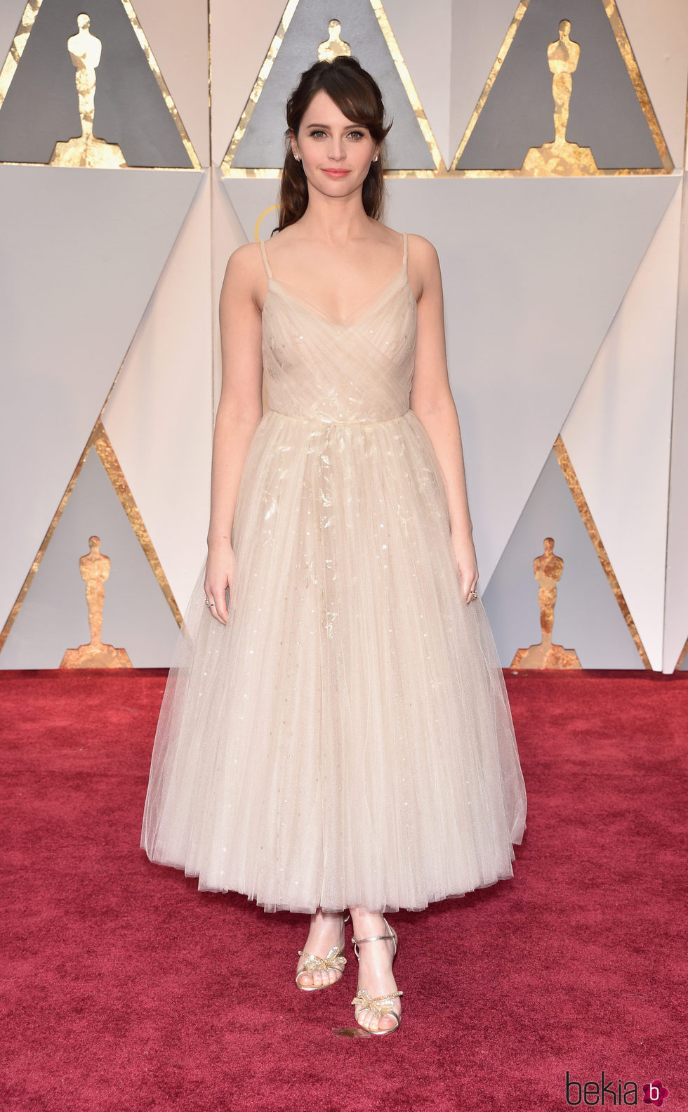 Felicity Jones en la alfombra roja de los Premios Oscar 2017