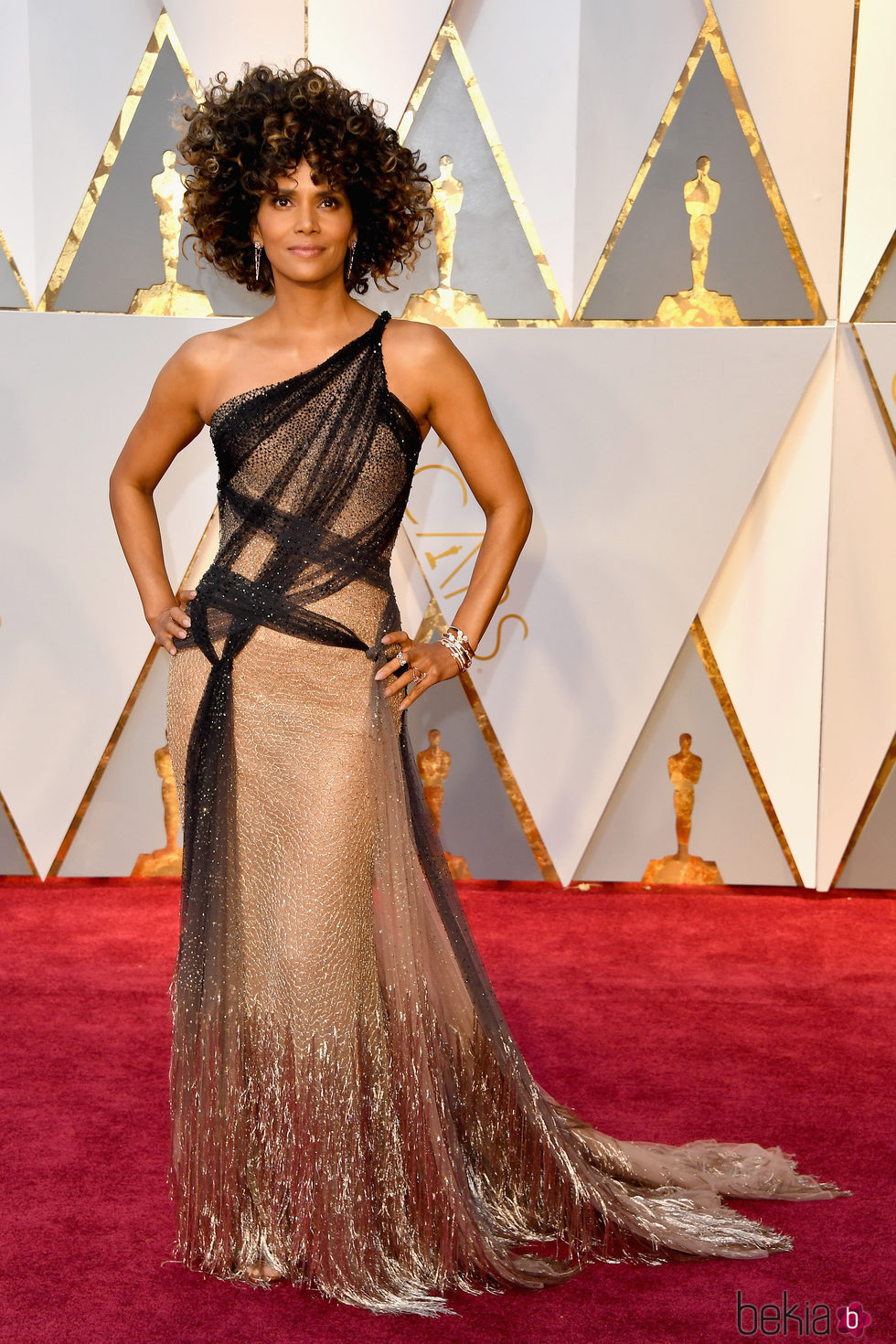 Halle Berry en la alfombra roja de los Premios Oscar 2017